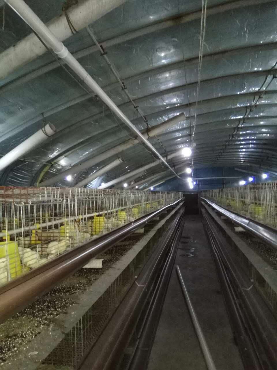 養(yǎng)殖場(chǎng) 養(yǎng)殖場(chǎng)